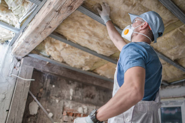 Best Blown-in Insulation in Hyde Rk, PA